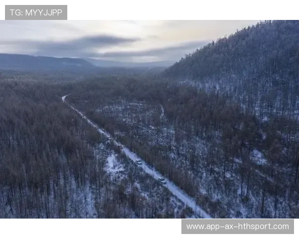 “雪原之王：极地雪地的速度传奇”，雪地最高点在哪