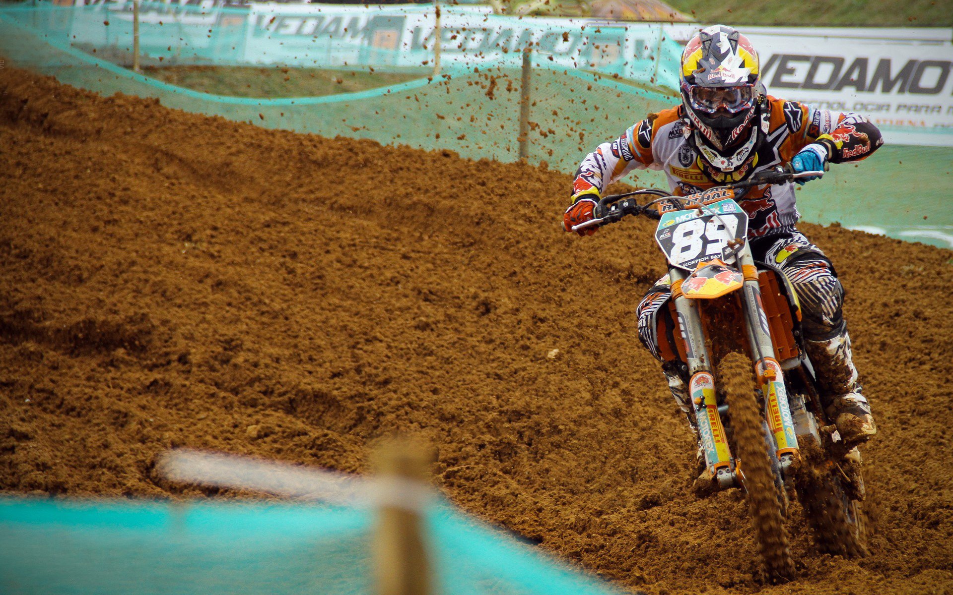 “环城绿道马拉松接力” 公务员与职工组队参与