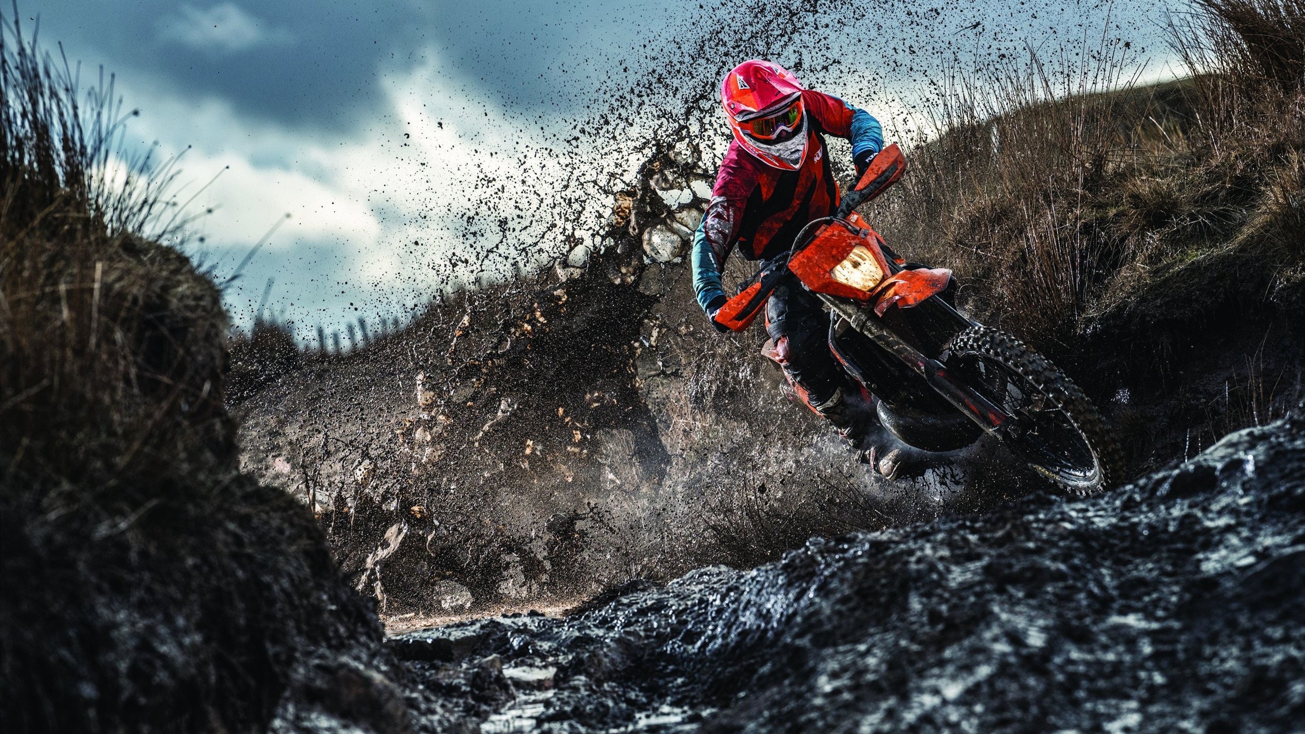 世界杯：球员在新闻发布会上为心理教练“正名” 呼吁外界理解他们的付出